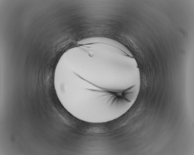 X0000111930364200909071243