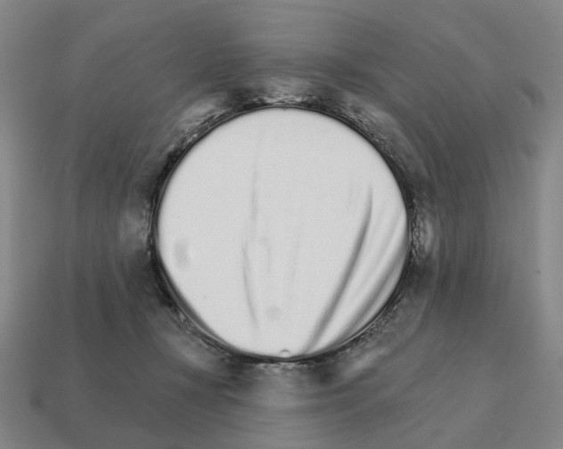 X0000111930367200909071243