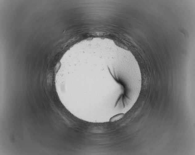 X0000111930368200909071243