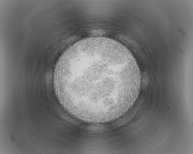 X0000111930369200909071243