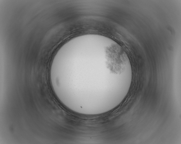 X0000111930370200909071243