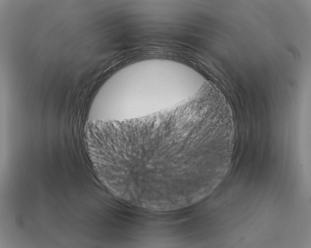 X0000111930371200909071243