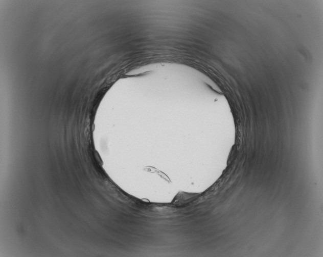 X0000111930376200909071243