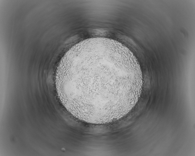 X0000111930377200909071243