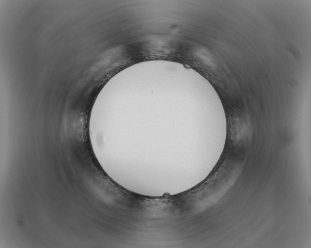 X0000111930378200909071243