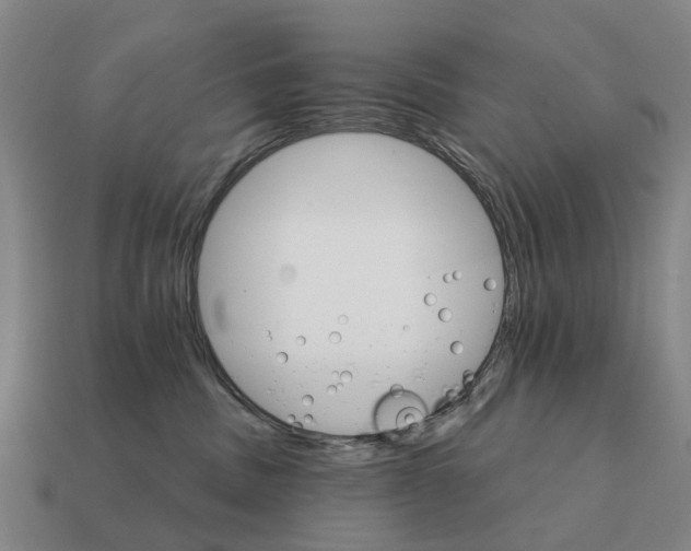 X0000111930379200909071243