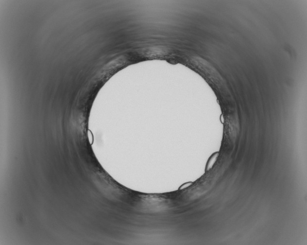 X0000111930380200909071243