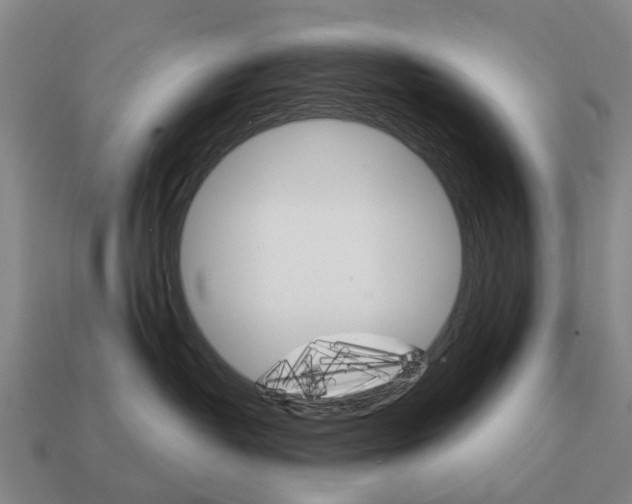 X0000111930382200909071243