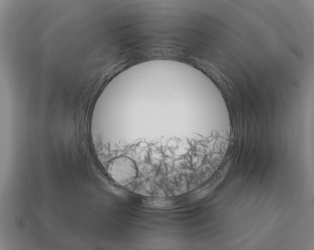 X0000111930383200909071243