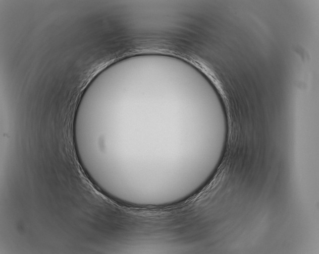 X0000111930385200909071243