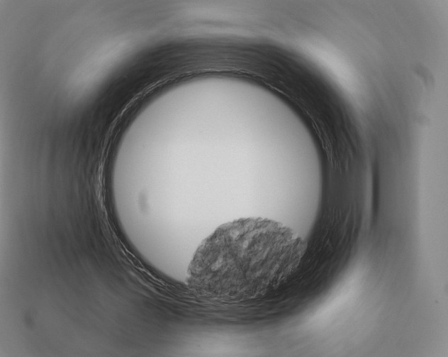 X0000111930387200909071243