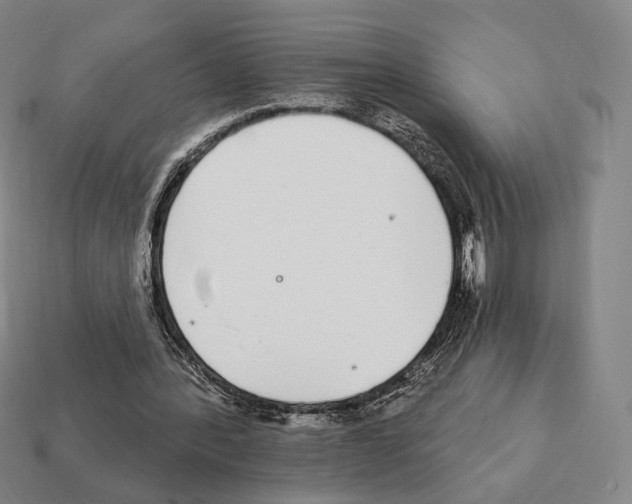 X0000111930388200909071243