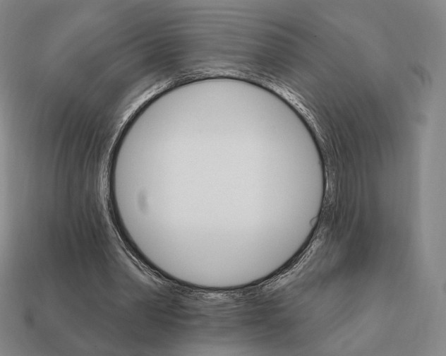 X0000111930390200909071243