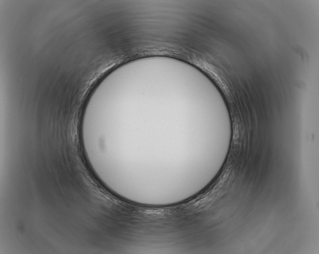 X0000111930394200909071243