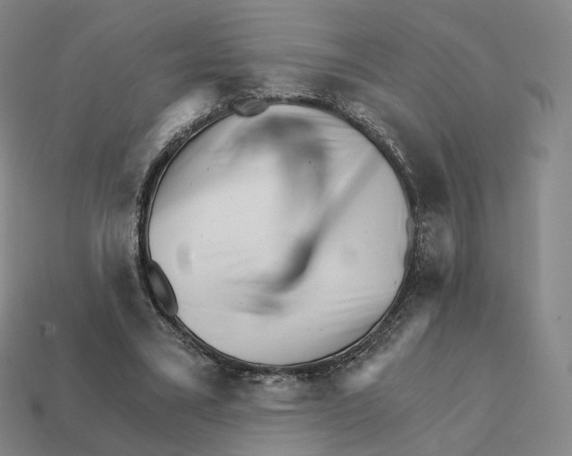 X0000111930395200909071243