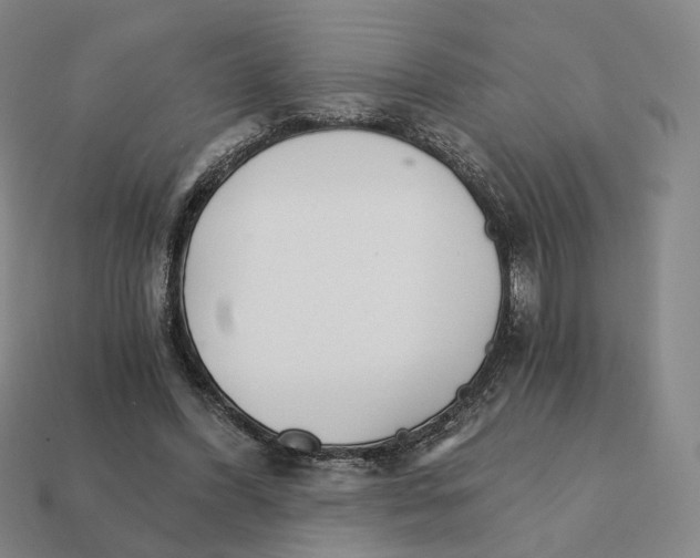 X0000111930396200909071243