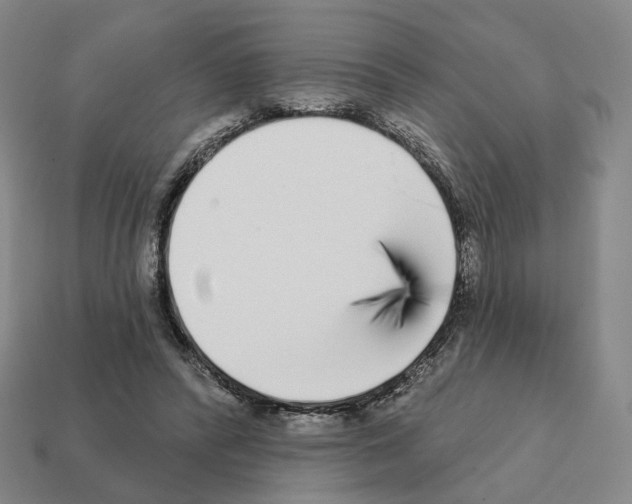 X0000111930400200909071243