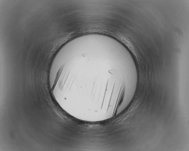 X0000111930401200909071243