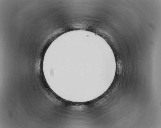 X0000111930404200909071242