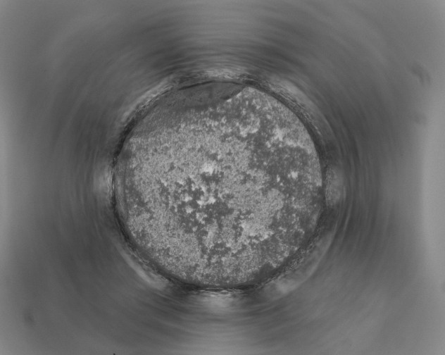 X0000111930405200909071242