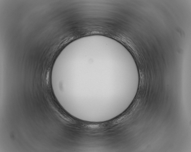 X0000111930406200909071242