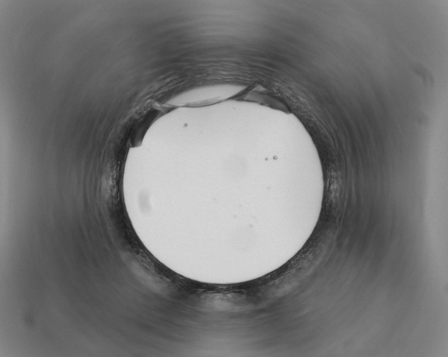 X0000111930408200909071242