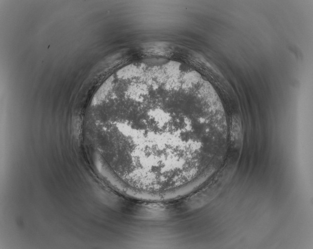 X0000111930409200909071242