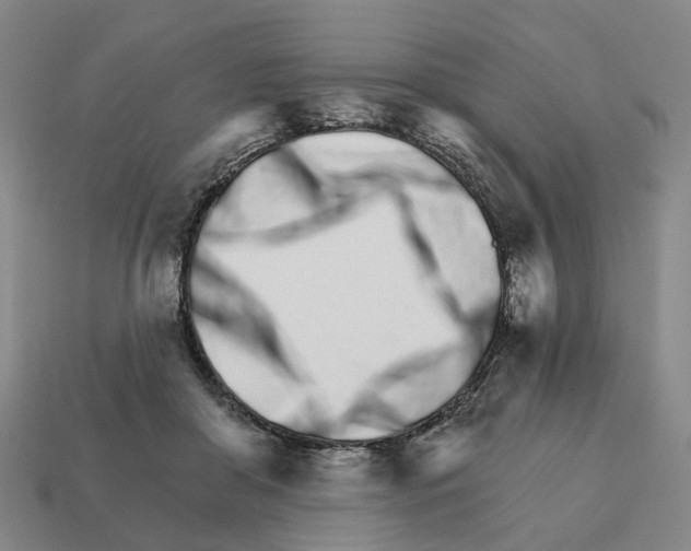 X0000111930410200909071242