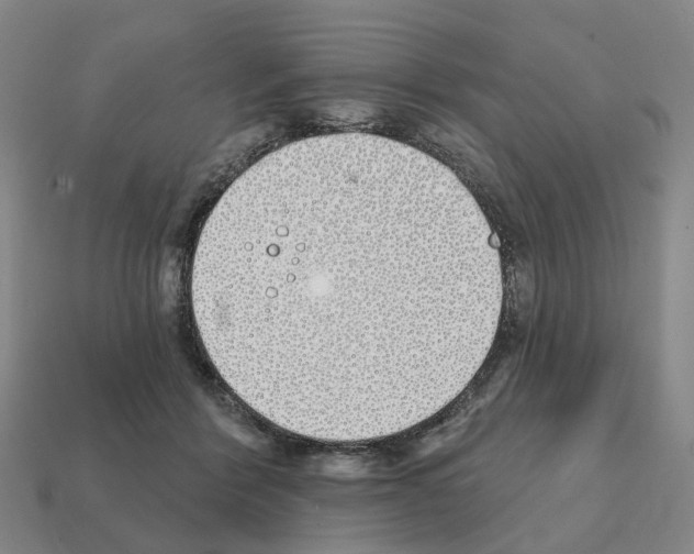 X0000111930412200909071242