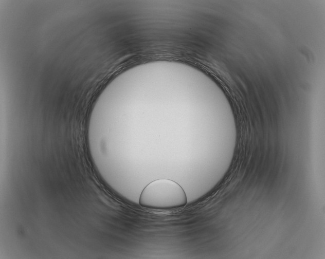 X0000111930413200909071242