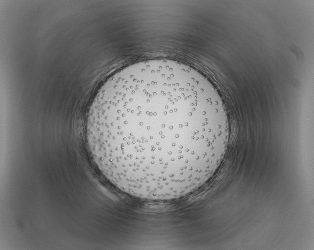 X0000111930414200909071242