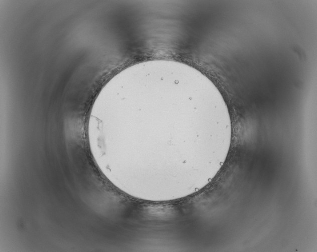 X0000111930415200909071242