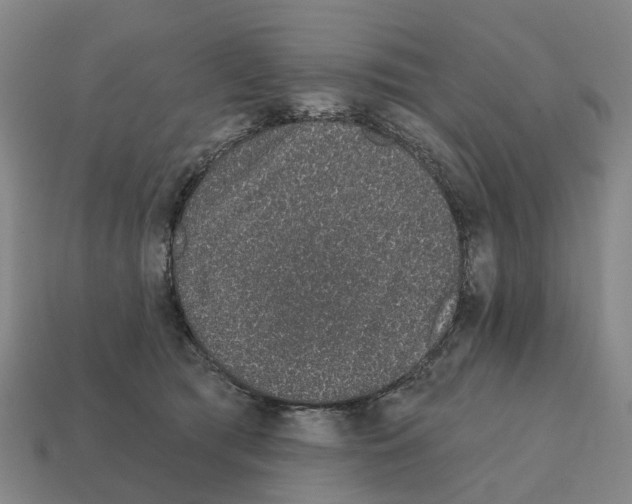 X0000111930417200909071242