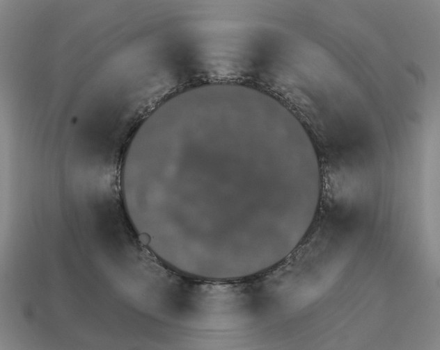 X0000111930419200909071242