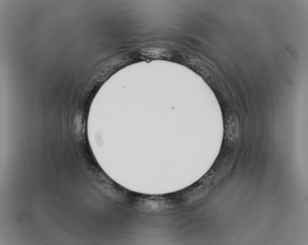 X0000111930420200909071242