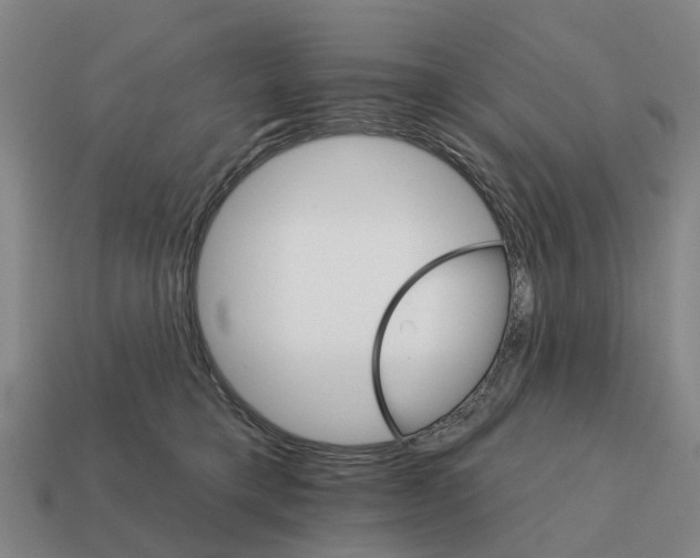 X0000111930421200909071242