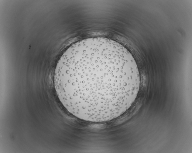 X0000111930422200909071242