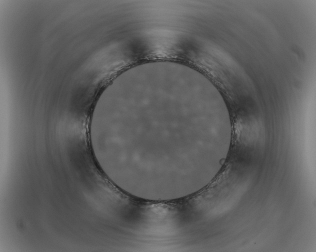 X0000111930423200909071242