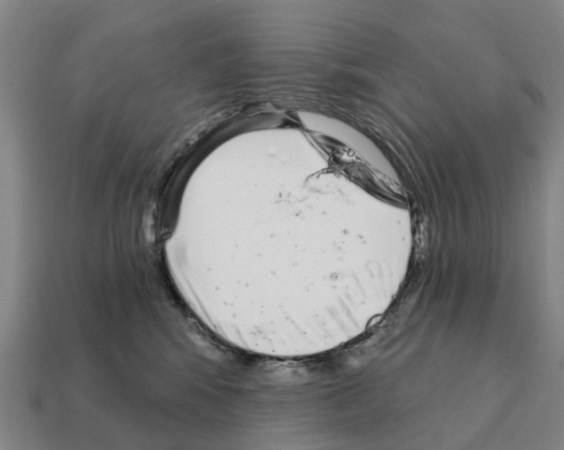 X0000111930424200909071242