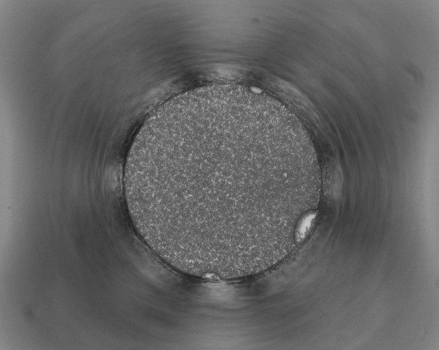 X0000111930425200909071242