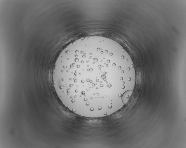 X0000111930426200909071242