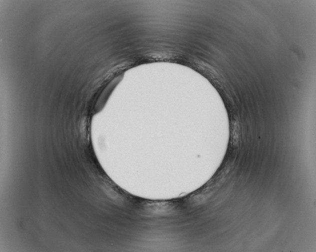 X0000111930428200909071242