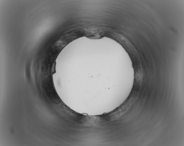 X0000111930429200909071242