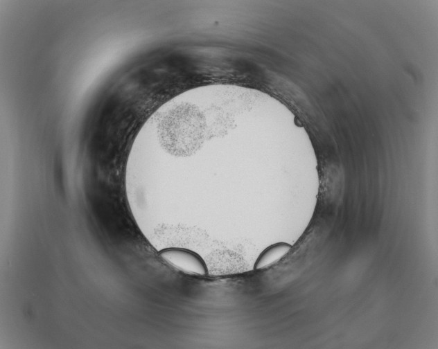 X0000111930430200909071242