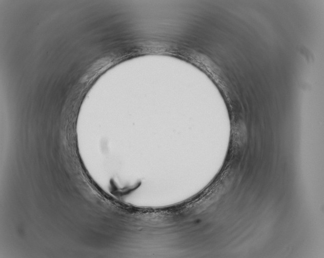 X0000111930433200909071242