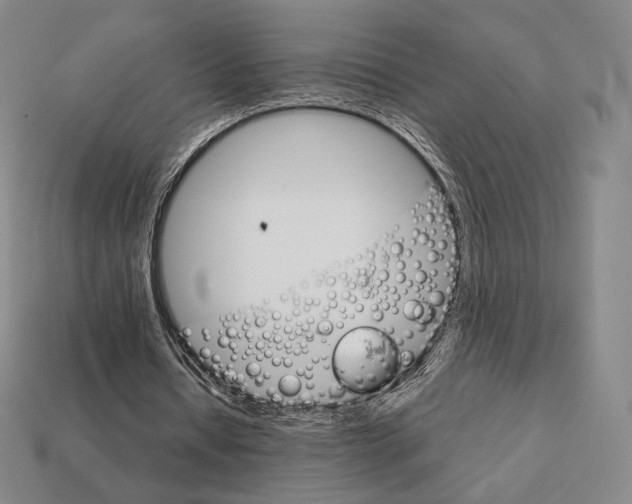 X0000111930434200909071242