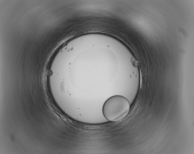 X0000111930435200909071242