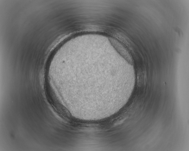 X0000111930436200909071242