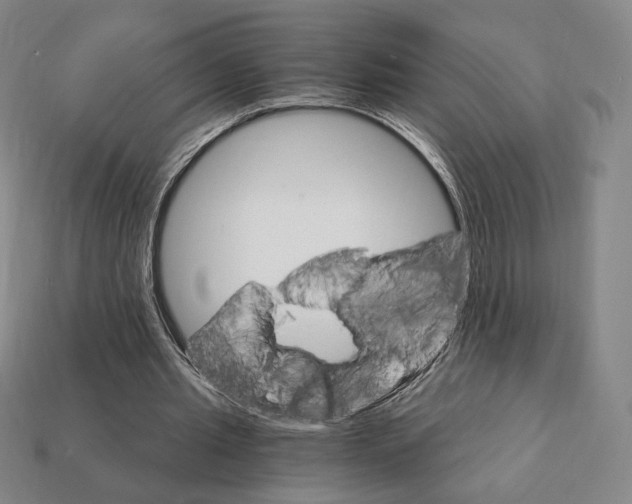 X0000111930437200909071242