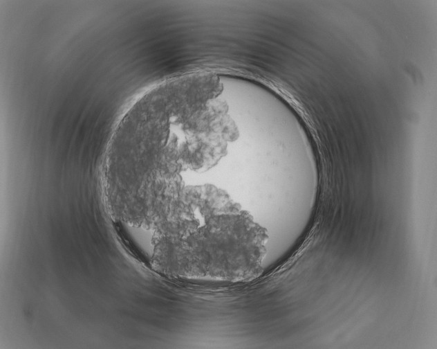 X0000111930438200909071242